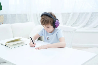 Noise Reduction Ear Muffs